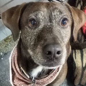 Meet your Posher, Christopher